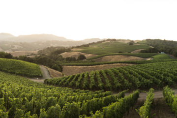 progeny winery